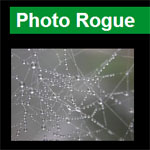PhotoRogue