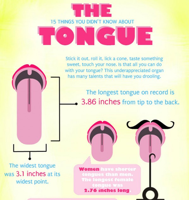  The human tongue