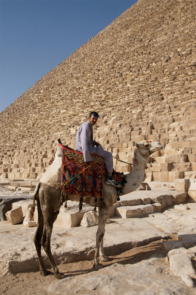 Ride a Camel in Egypt