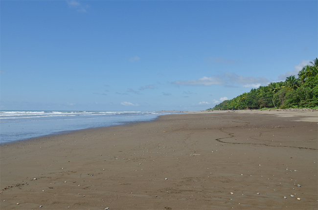  Dominical Beach, Costa Rica