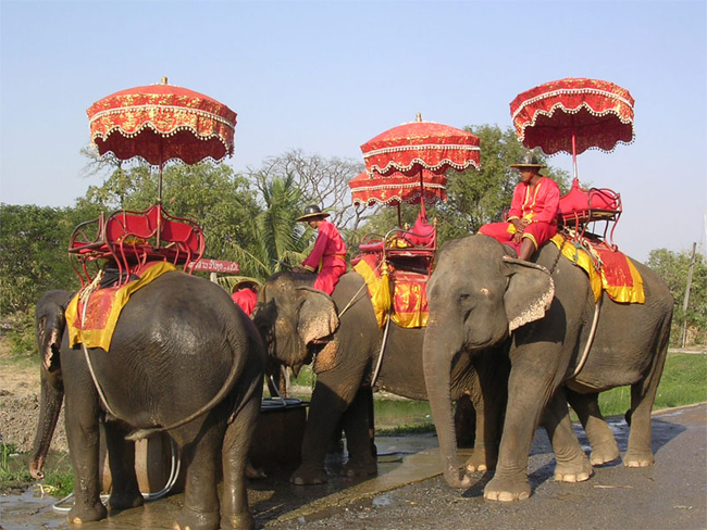 Ride an Elephant in Thailand