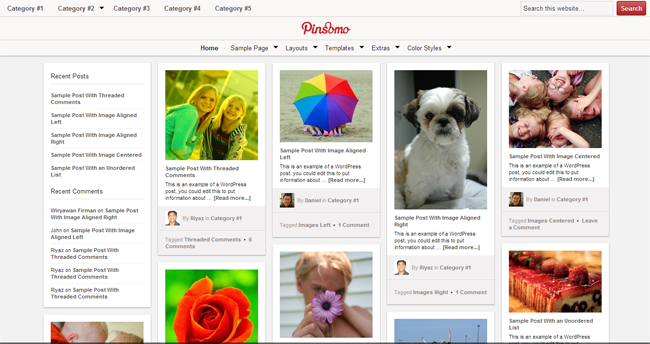 Pinsomo WordPress Theme