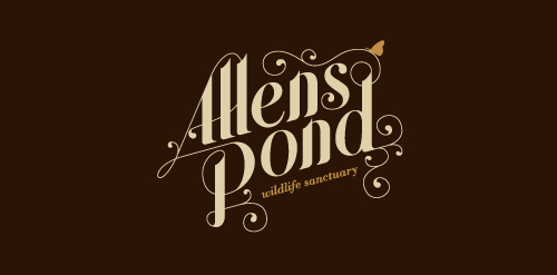 Allens Pond