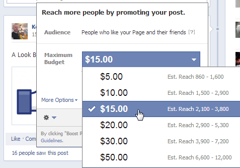 Facebook Set Maximum Budget