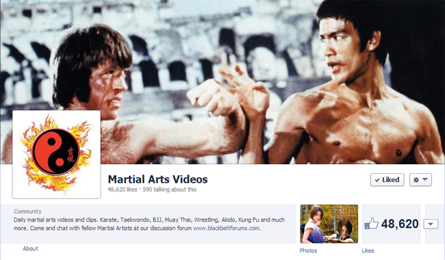Martial Arts Videos on Facebook