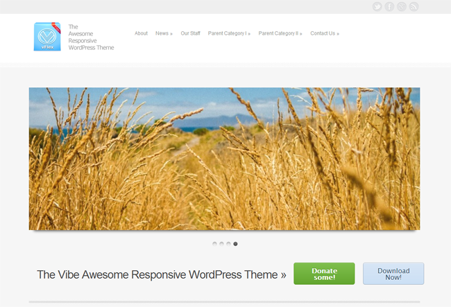 vFlex WordPress Theme