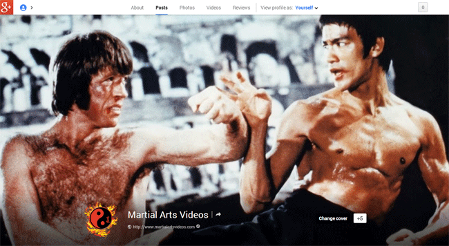 Martial Arts Videos on Google+