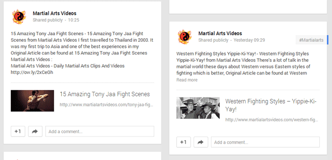 Martial Arts Videos on Google+