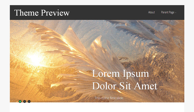 Asteria Lite WordPress Theme
