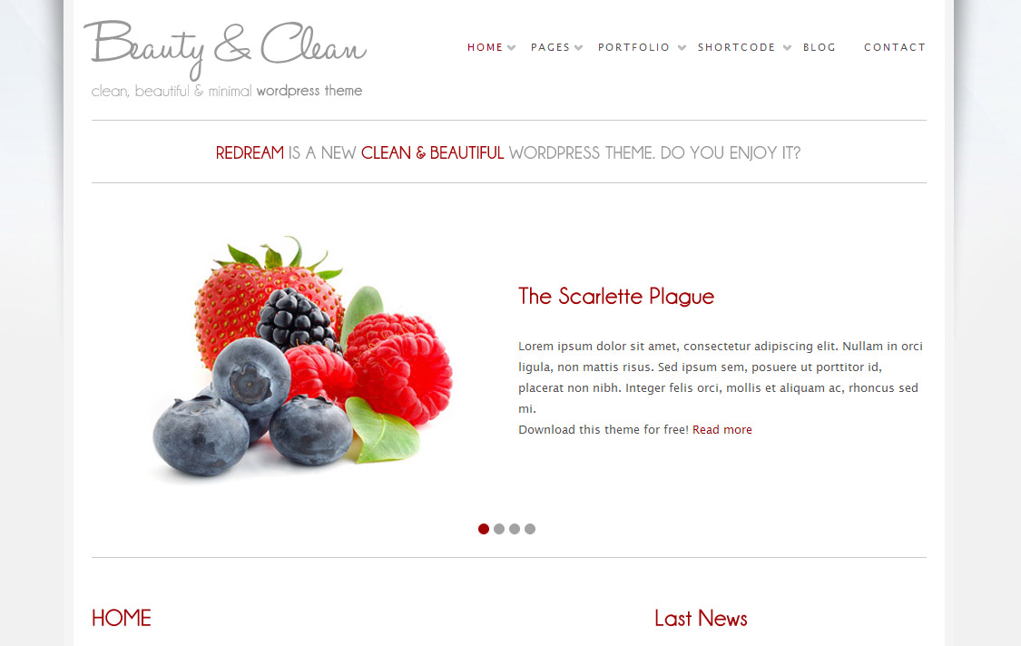 Beauty and Clean WordPress Theme