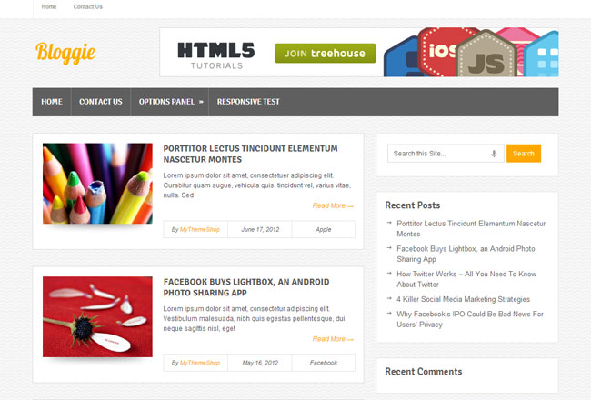 Bloggie WordPress Theme