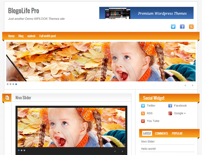 Blogolife WordPress Theme