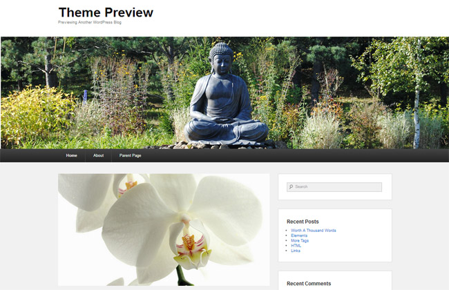 Catch Evolution WordPress Theme