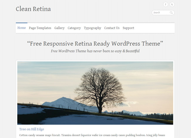 Clean Retina WordPress Theme