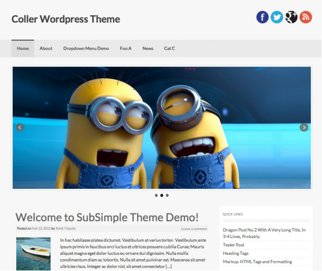 Coller WordPress Theme
