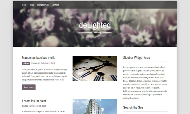 Delighted WordPress Theme
