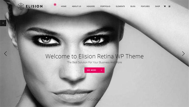 Elision WordPress Theme