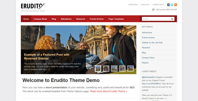 Erudito WordPress Theme