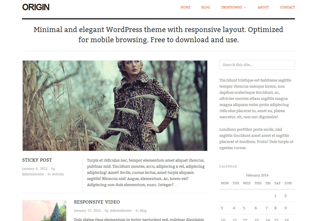 Origin WordPress Theme
