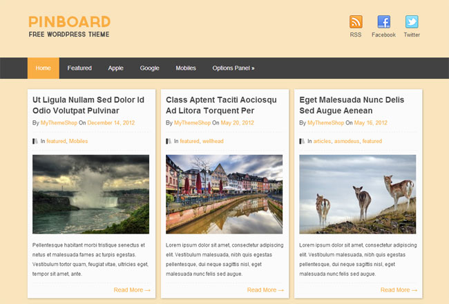 Pinboard WordPress Theme