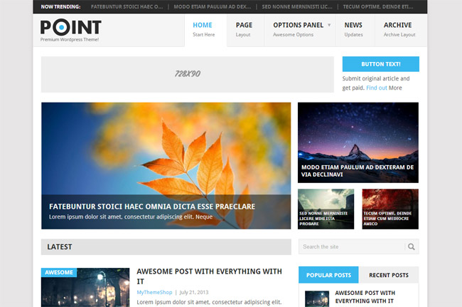 Point WordPress Theme