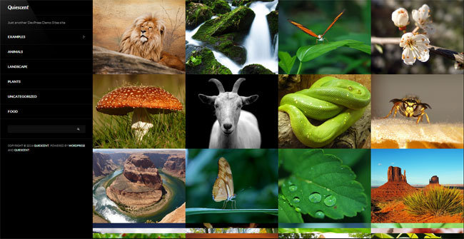 Quiescent WordPress Theme