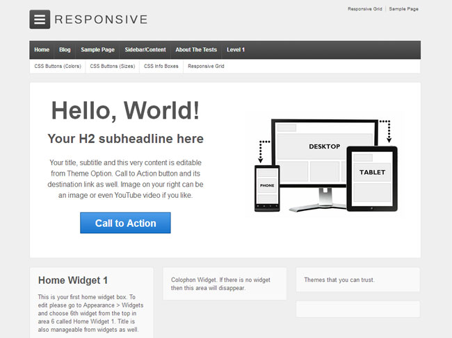 Responsive WordPress Theme