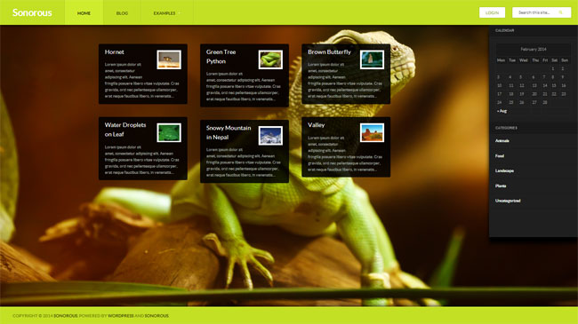 Sonorous WordPress Theme