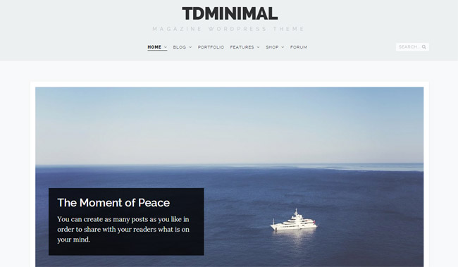 tdMinimal WordPress Theme