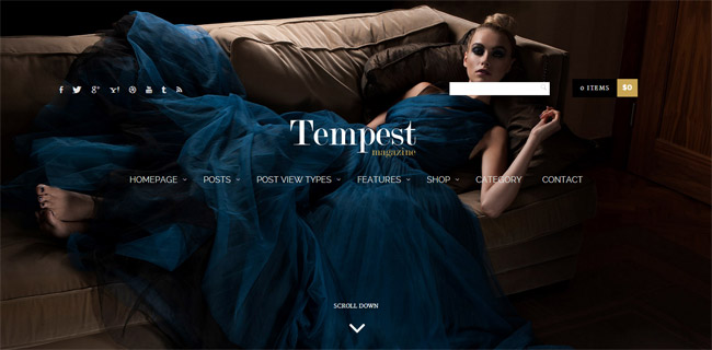 Tempest WordPress Theme