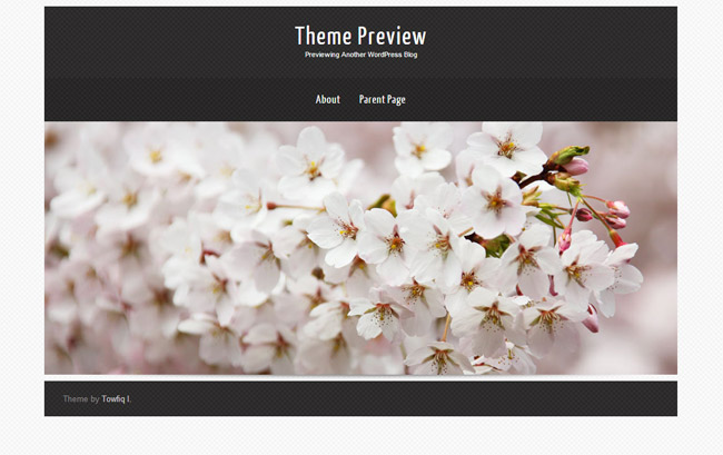 Theron Lite WordPress Theme