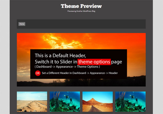 Viper WordPress Theme