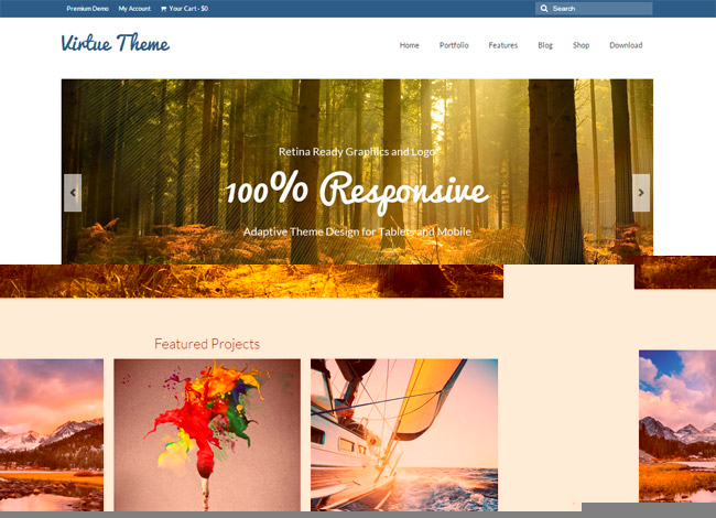 Virtue WordPress Theme