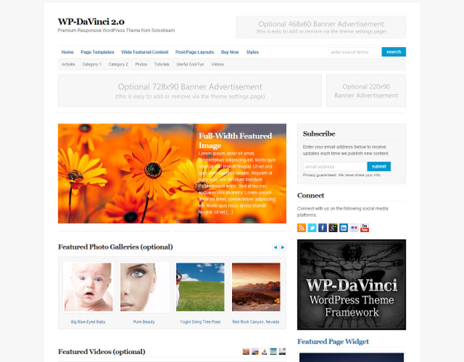 WP-DaVinci WordPress Theme