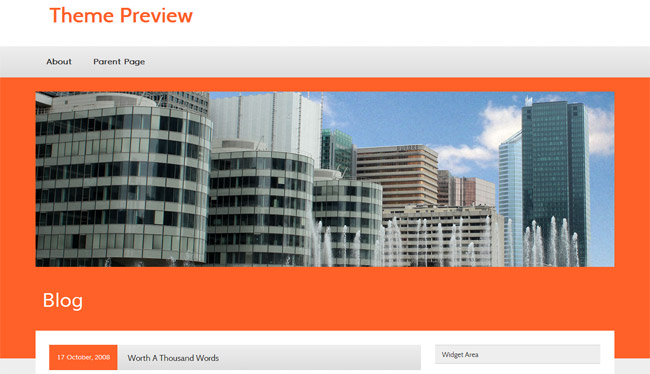 zeeFocus WordPress Theme