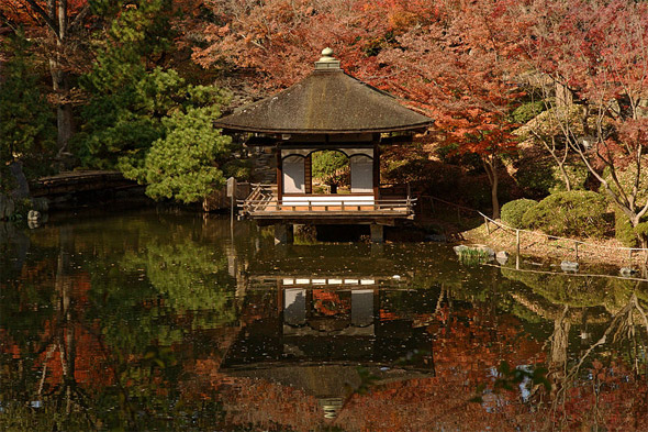 Nishinomaru Garden in  Japan