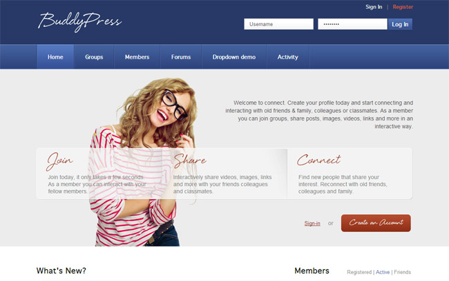 BuddyPress WordPress Theme