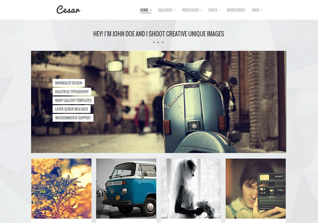Cesar WordPress Theme