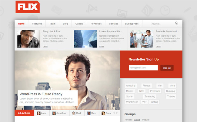 Flix WordPress Theme