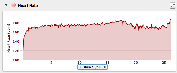 My Heart Rate During the Manchester Marathon