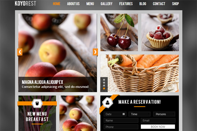 Koyorest WordPress Theme