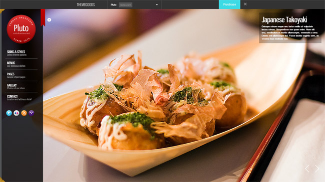 Pluto WordPress Theme