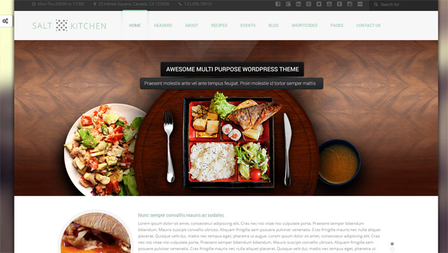SaltKitchen WordPress Theme