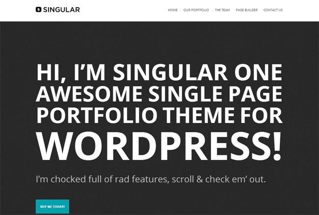 WP Singular WordPress Theme