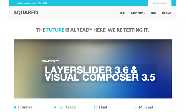 Squared WordPress Theme
