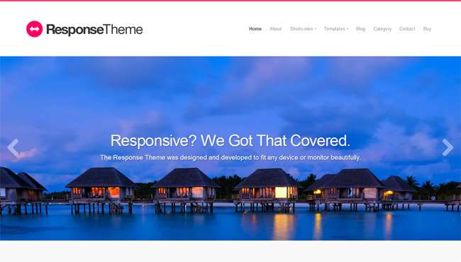 Responsive Theme Wordpress Theme