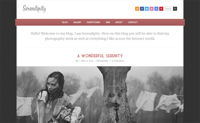 Serendipity WordPress Theme
