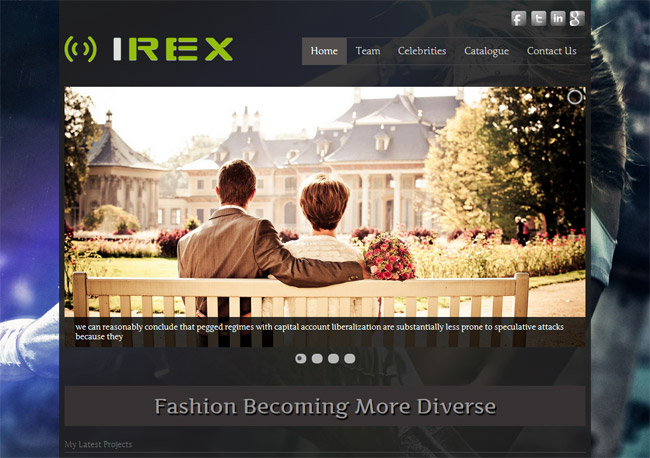 Irex Lite Wordpress Theme