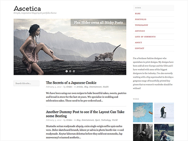 Ascetica  Free WordPress Theme