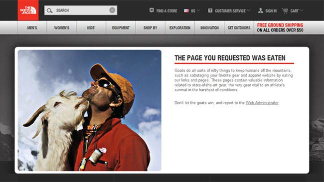 The North Face Error Page